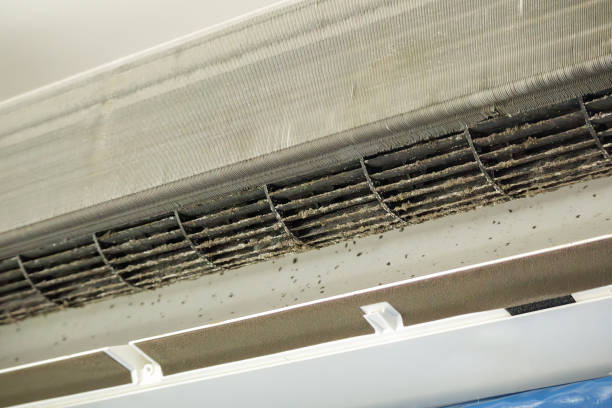 Best Air Filter Replacement Services in Livingston, CA